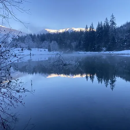 Apartmán In Neukirchen Am Gro Venediger Neukirchen am Großvenediger